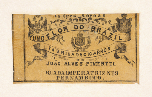 vizualizar o documento on line